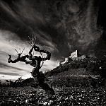 collectif 8 reg-art - fine-art photography