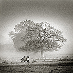 Page de Philippe Leclerc